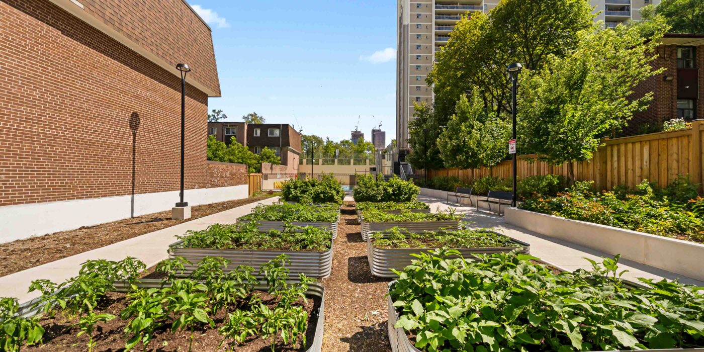 BelaSquare_EXT_Amenity_Garden_Jul2026